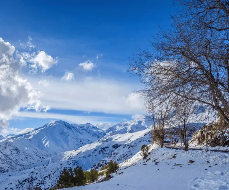 Andes Panorámico: Valle Nevado y Farellones