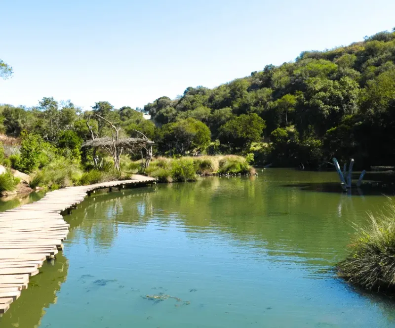 Tour a Parque Tricao