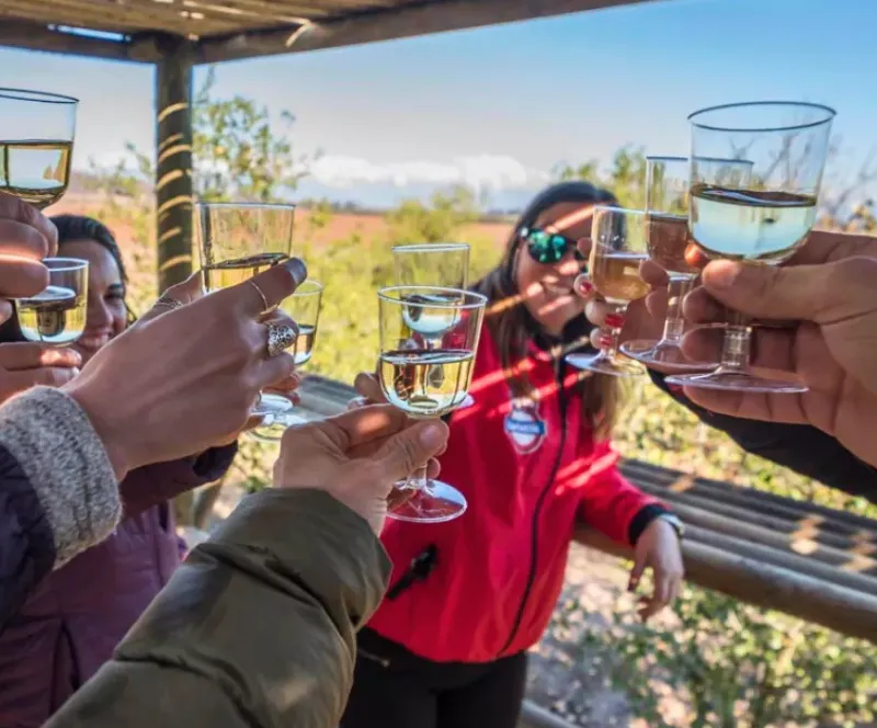 Tour Ruta del Vino Valle Maipo