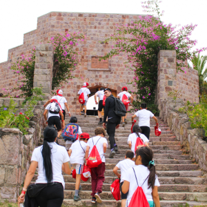 Summer Camp Half Day