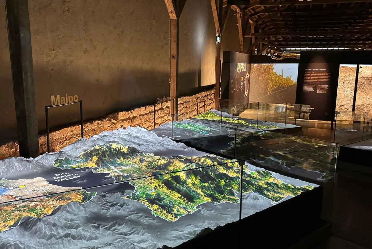 Concha y Toro: Tour Centro del Vino