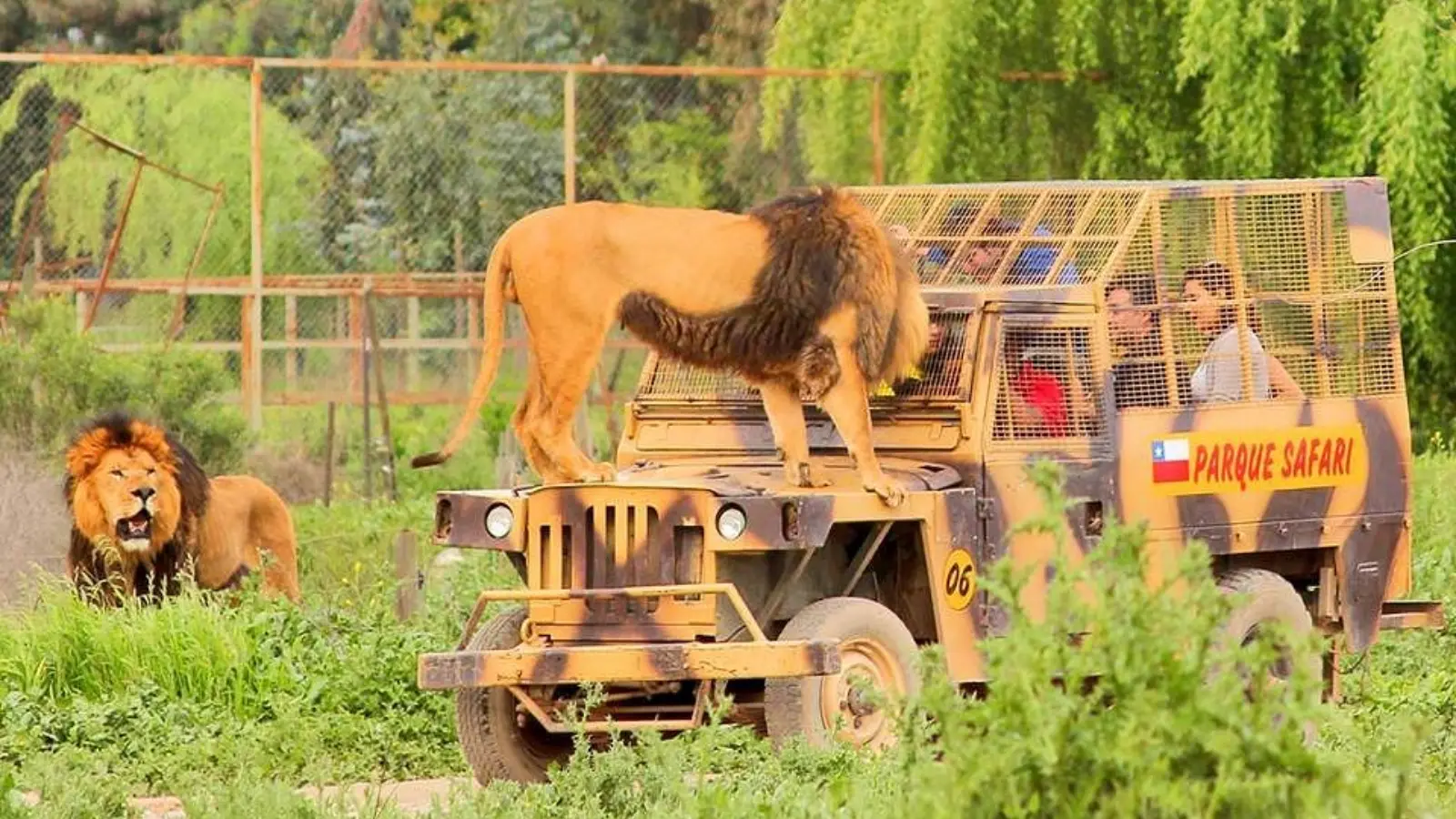 Tour Parque Safari