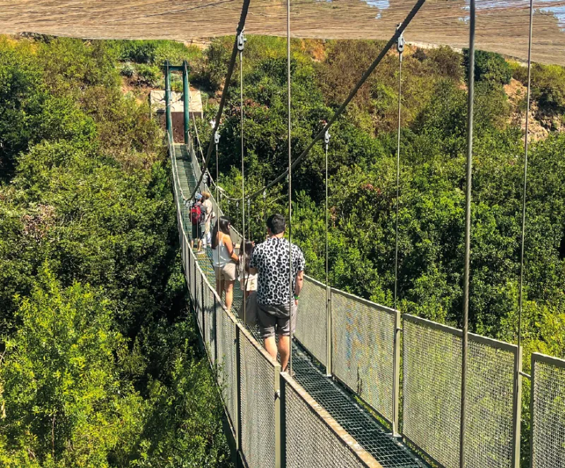 Tour Neruda Isla Negra + Aviario Tricao: Naturaleza, Poesía & Almuerzo