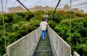 Tour Parque Tricao + Viña Undurraga