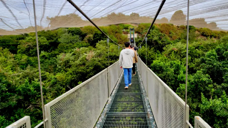 Tour Neruda Isla Negra + Aviario Tricao: Naturaleza, Poesía & Almuerzo