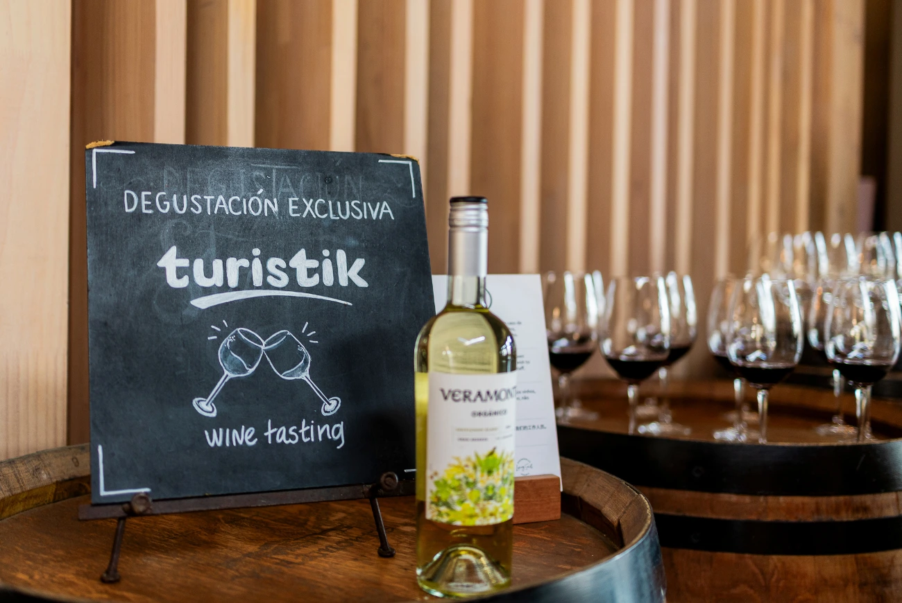 Vino, Museo Neruda, Valparaíso y Viña Del Mar